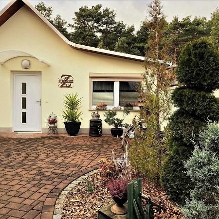 Ferienhaus Zschieck Lauta Bagian luar foto